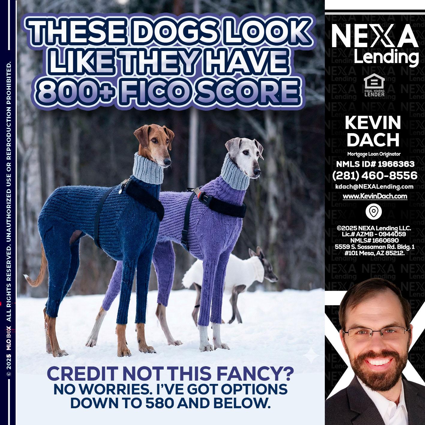 THESE DOGS LOOK - Kevin Dach -Loan Officer